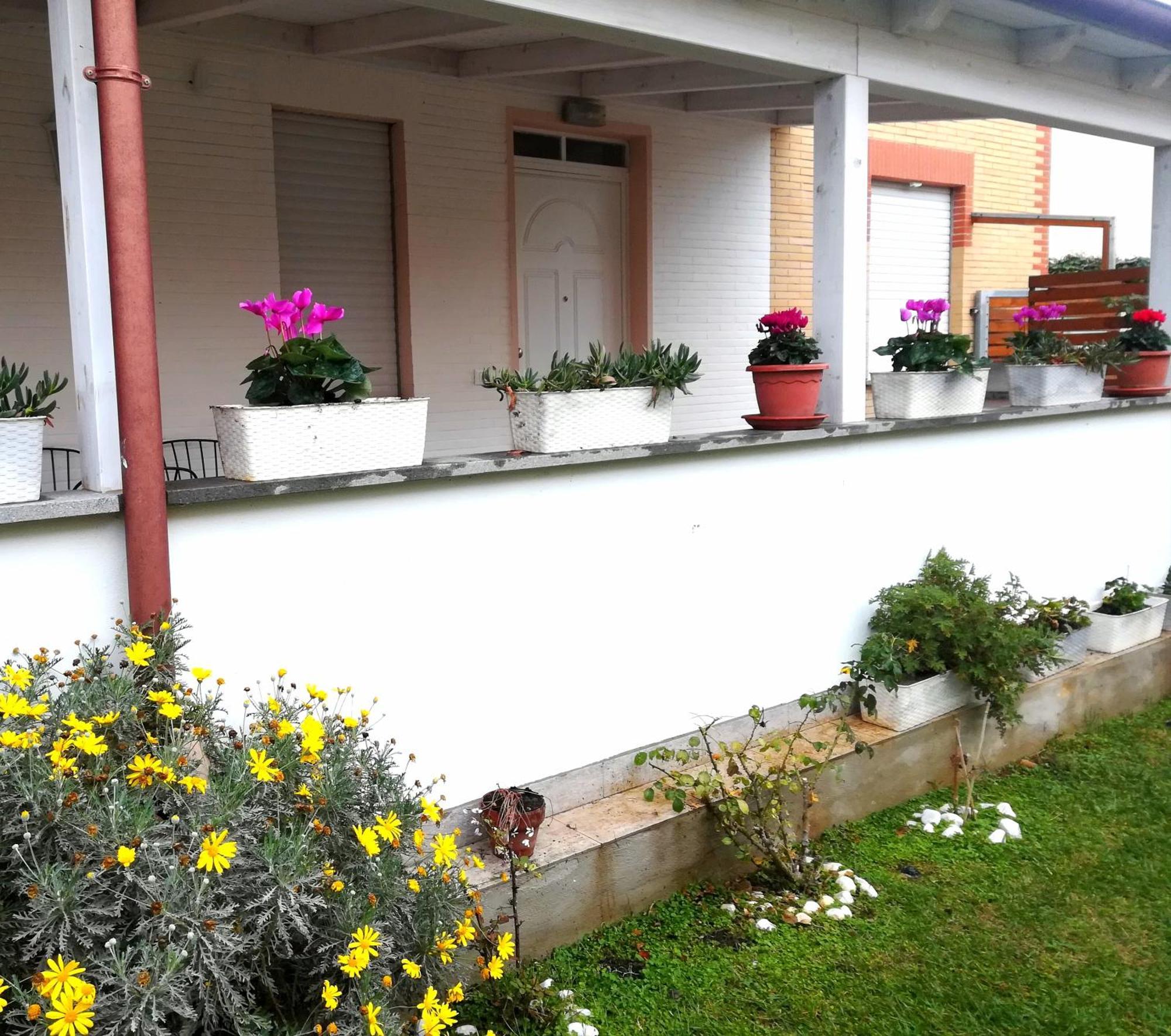 Romadamare Villa Passoscuro Bagian luar foto